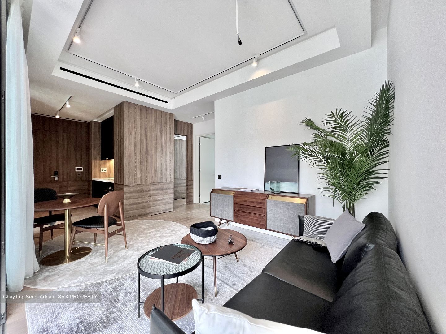 10 Evelyn (D11), Apartment For Sale 95968201